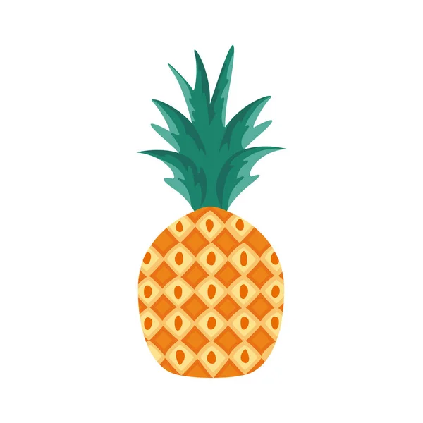 Vers fruit ananas — Stockvector