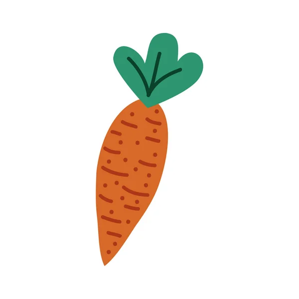 Zanahoria fresca vegetal — Vector de stock
