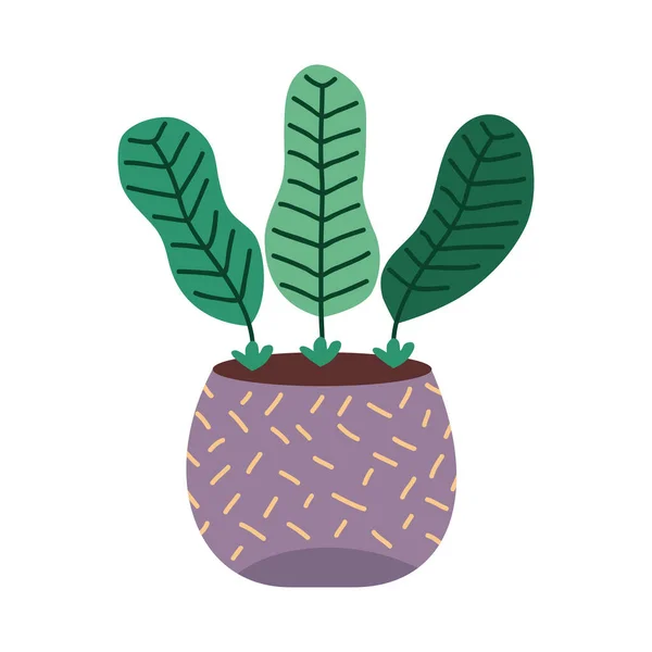 Plante d'intérieur en pot violet — Image vectorielle