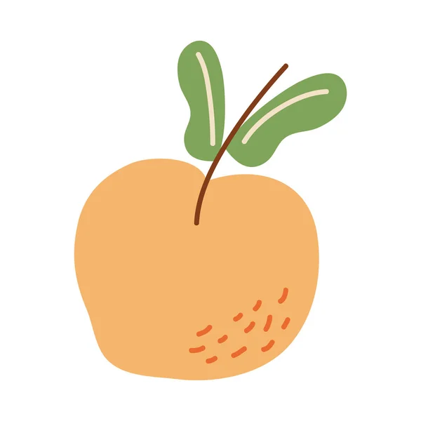Персиковые плоды — стоковый вектор