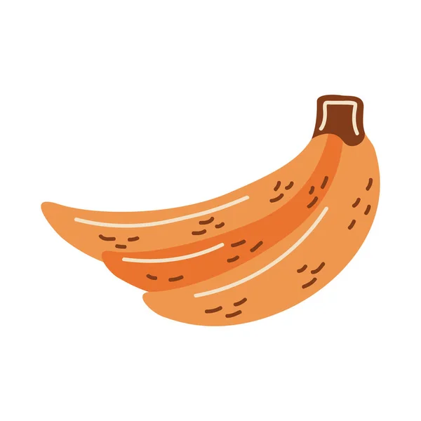 Bananes fraîches légumes — Image vectorielle