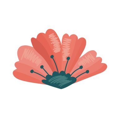 Kırmızı bahar çiçek