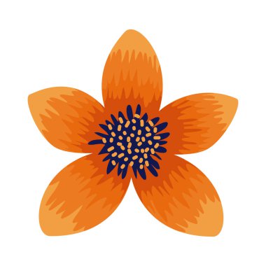 turuncu doğal çiçek