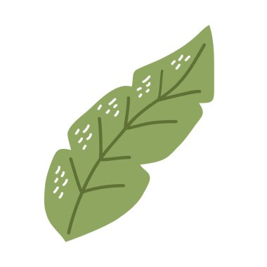 yeşil tropik yaprak palmiyesi