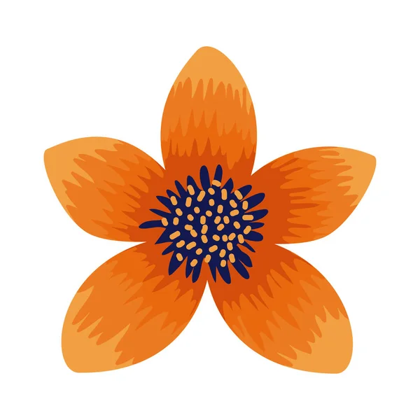 Orange natural flower —  Vetores de Stock