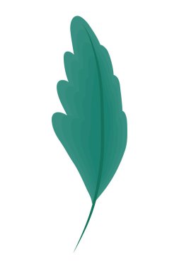 yeşil yaprak bitkisi