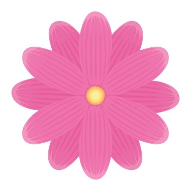 pembe çiçek bahçesi