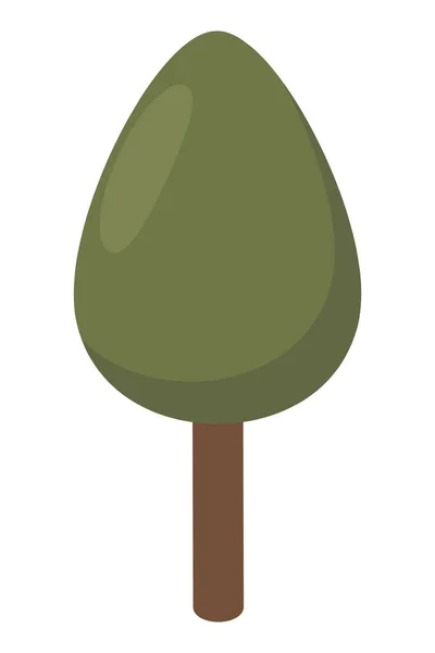 Pine tree plant isometric — Vector de stock