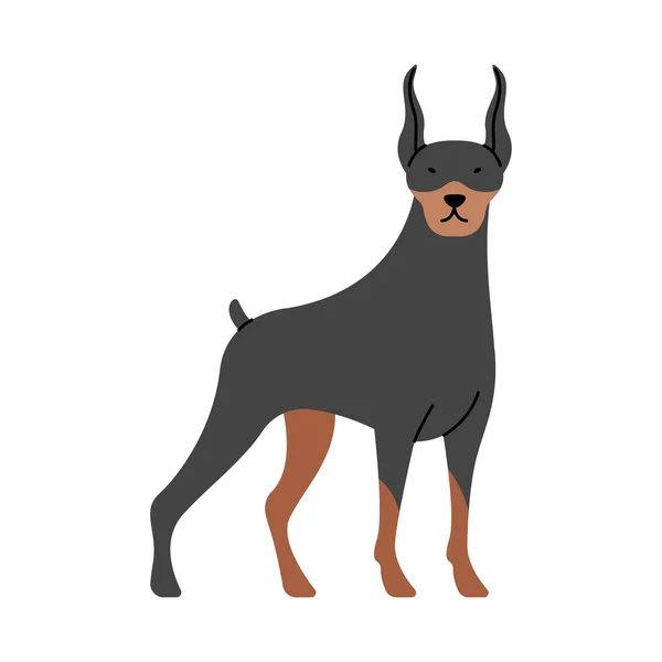 Doberman dog mascot - Stok Vektor