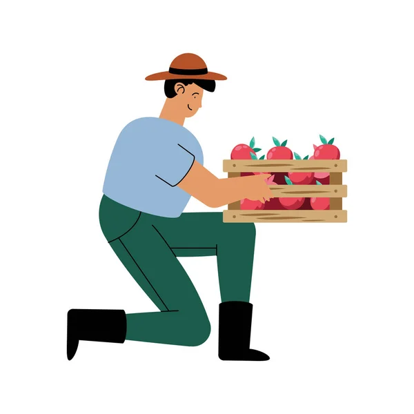 Farmer man with tomatoes — Vetor de Stock