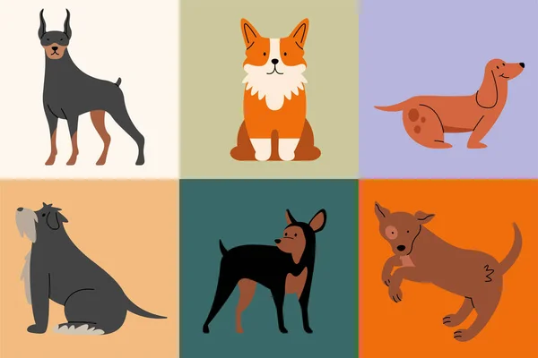 Six animals pets — Vettoriale Stock