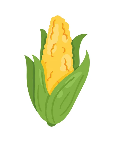 Épi de maïs légume — Image vectorielle