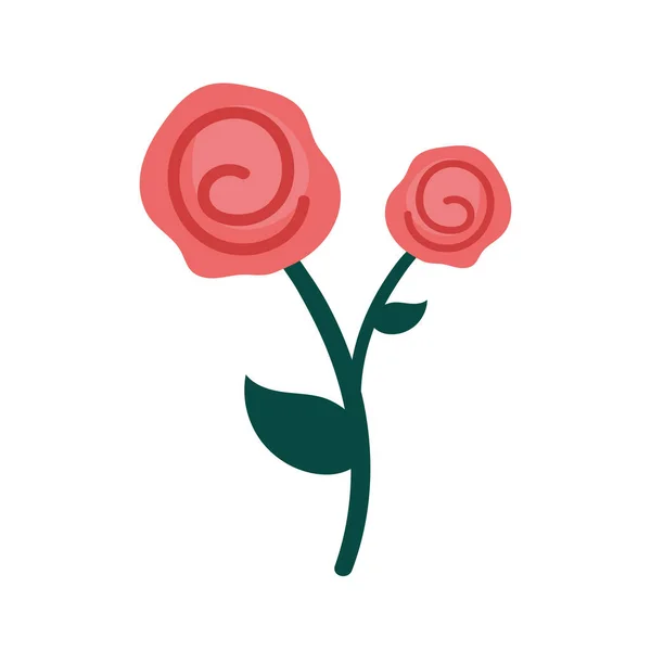 Červené růže květiny — Stockový vektor