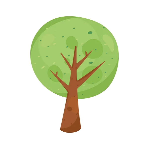 Circulaire boomplant natuur — Stockvector