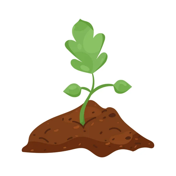 Pflanze im Boden — Stockvektor
