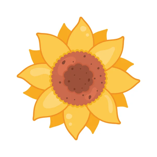Gelbe Sonnenblumenpflanze — Stockvektor