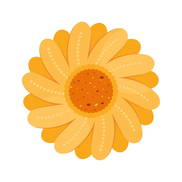 Yellow sunflower garden — Stock Vector