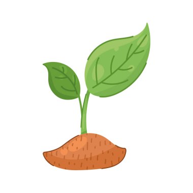 ecology plant cultivating