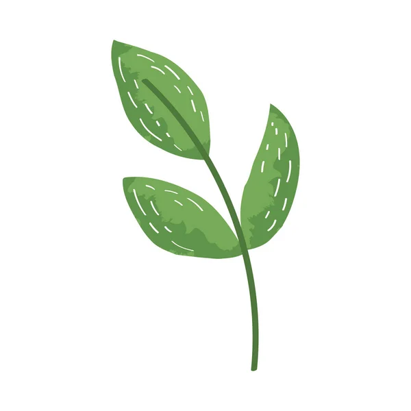 Rama verde con hojas — Vector de stock