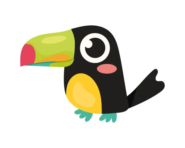 Toucan kuş hayvan — Stok Vektör