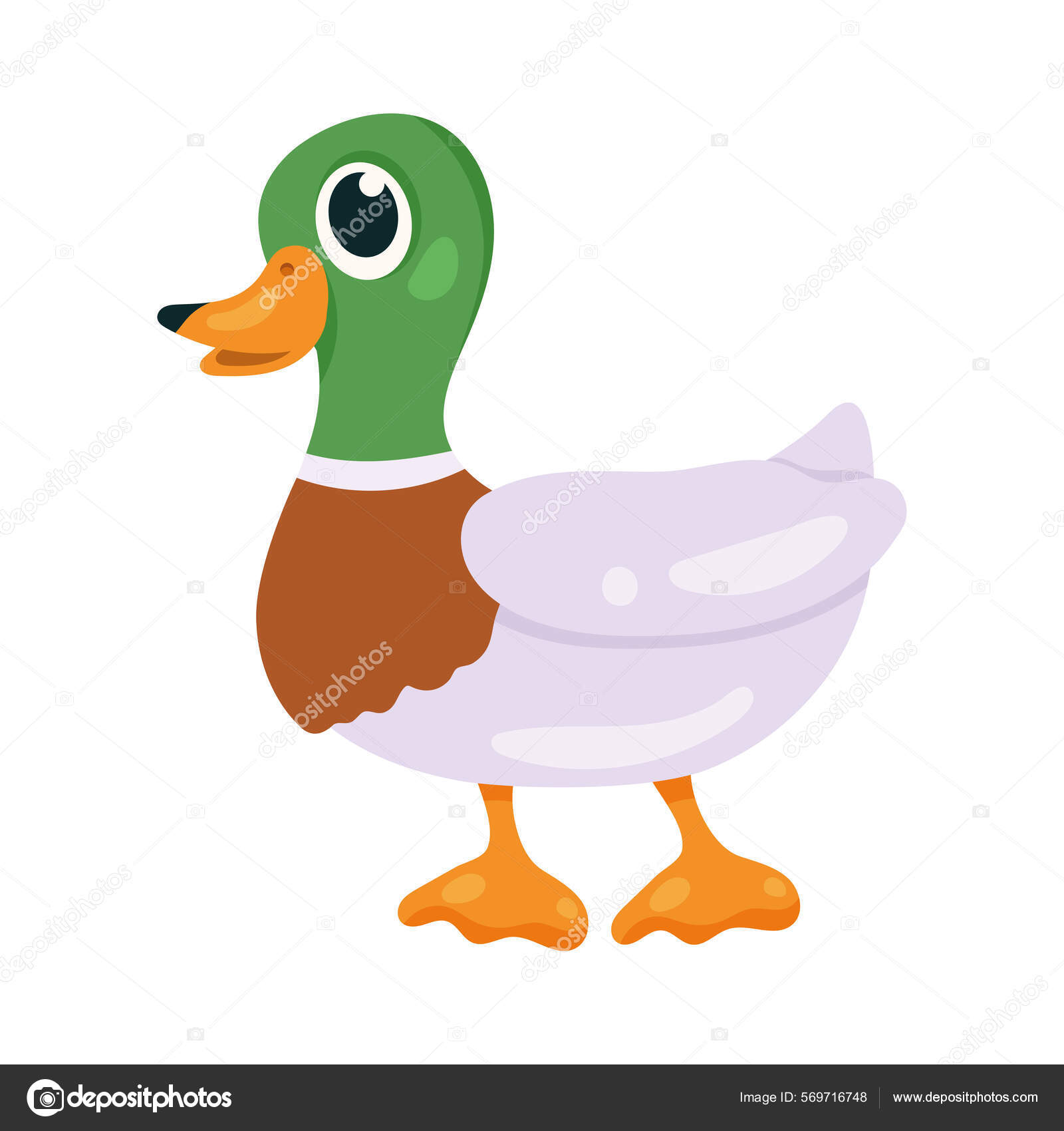 Pato pájaro animal vector, gráfico vectorial © yupiramos imagen #569716748 Pato pájaro animal vector, gráfico vectorial © yupiramos imagen #569716748