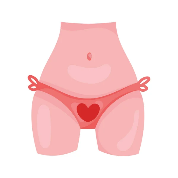 Female body with panty — Stock Vector