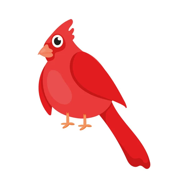 Rood vogeldier — Stockvector