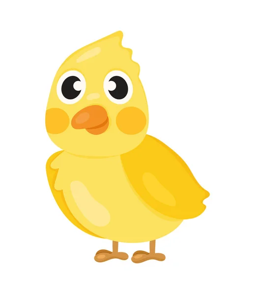 Csirke madár állat — Stock Vector