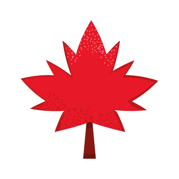 Foglia d'acero rosso canadese — Vettoriale Stock