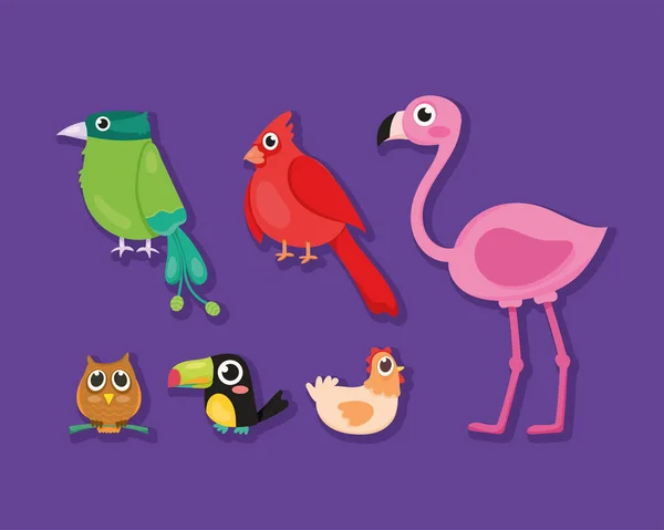 Schattige vogels zes iconen — Stockvector