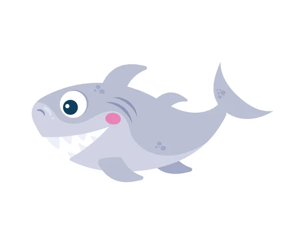 Criatura sealife tubarão cinzento — Vetor de Stock
