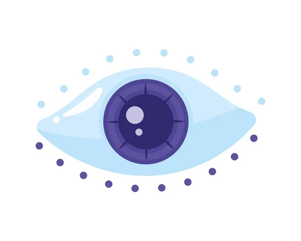 Purple eye human — Stock Vector