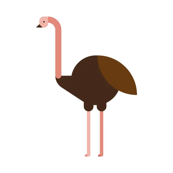 Formas básicas de avestruz —  Vetores de Stock