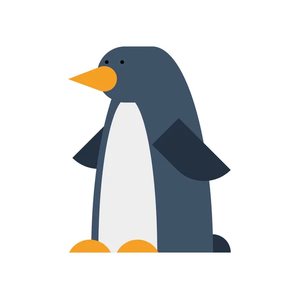 Pingüino formas básicas — Vector de stock