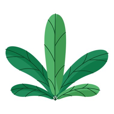 Ekoloji yaprakları bitki