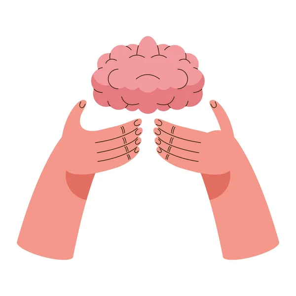Руки, поднимающие орган мозга — стоковый вектор