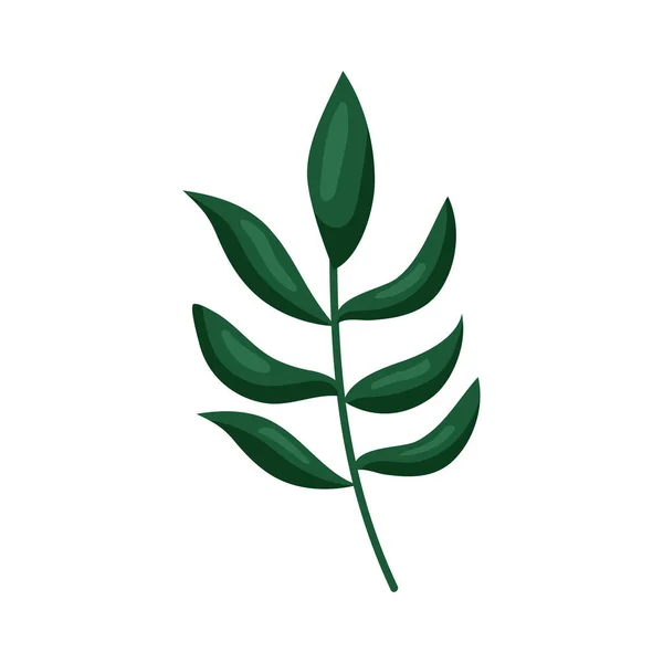 Zöld ág növény — Stock Vector