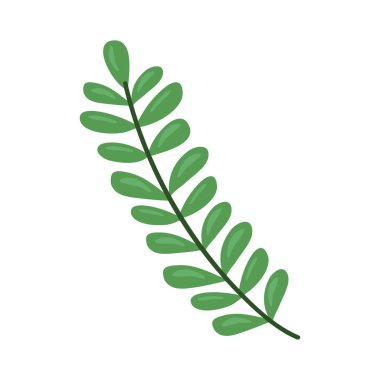 yeşil yapraklar dalı