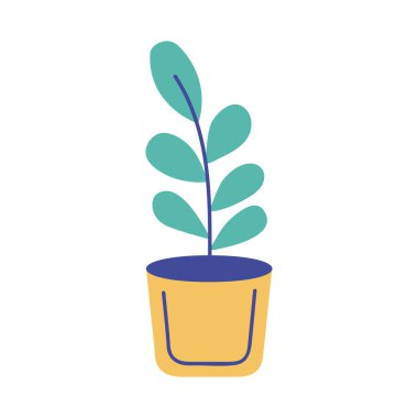 Seramik tencerede houseplant