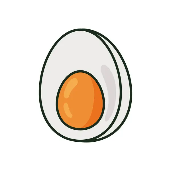 Yumurtanın yarısı kaynamış — Stok Vektör