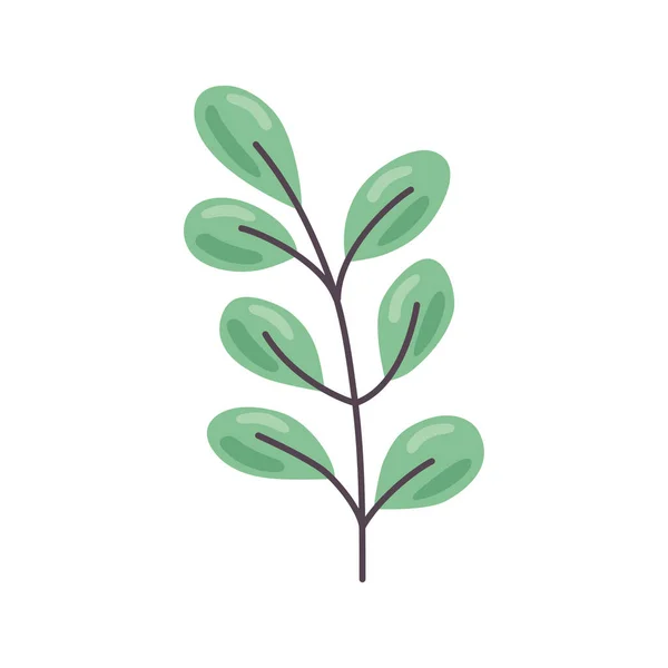 緑色の葉を持つ分枝 — ストックベクタ