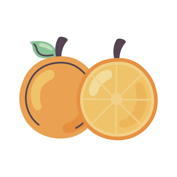 Φρέσκο πορτοκάλι — Διανυσματικό Αρχείο