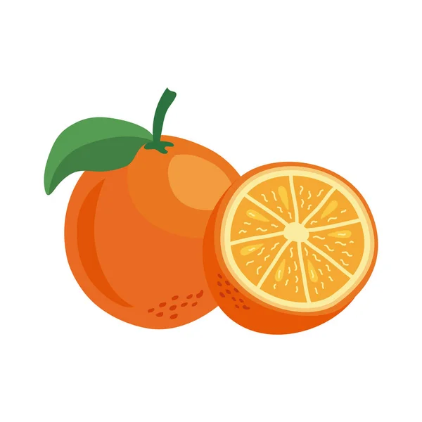 オレンジの柑橘系の果物 — ストックベクタ