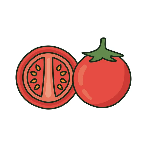 Tomates frescos verduras — Vector de stock