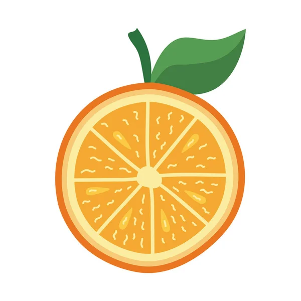 Media naranja cítricos — Vector de stock