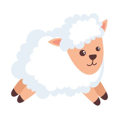 Küçük koyun yavrusu şirin karakter.