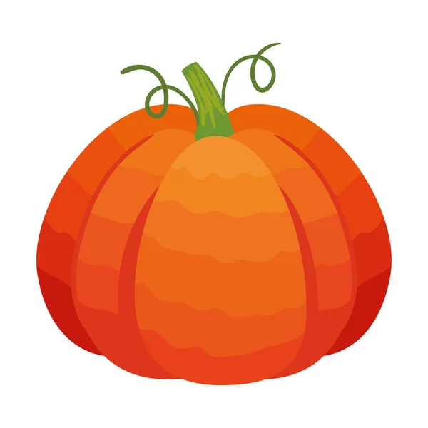 Pumpkin Autumn Season Fruit Icon — Stock Vector
