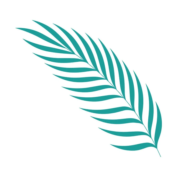 Tropisches Blatt Palme Natur Symbol — Stockvektor