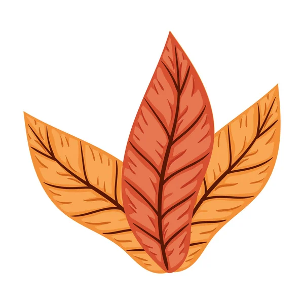 Herbstblätter Laub Saisonale Symbol — Stockvektor