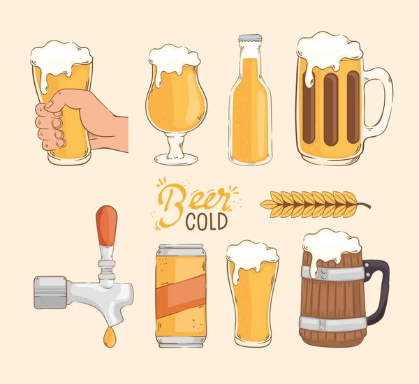 Dez Ícones Cerveja Frio Conjunto —  Vetores de Stock